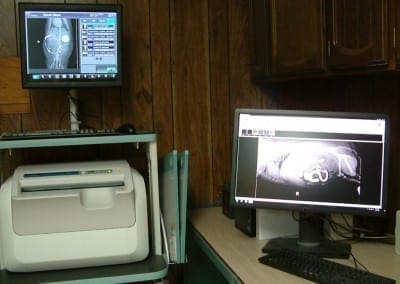 Radiology