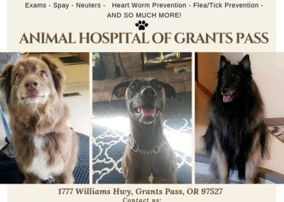 Animal Hospital of Grants Pass