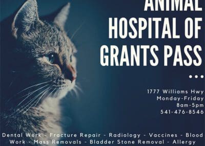 Animal hospital of grants pass