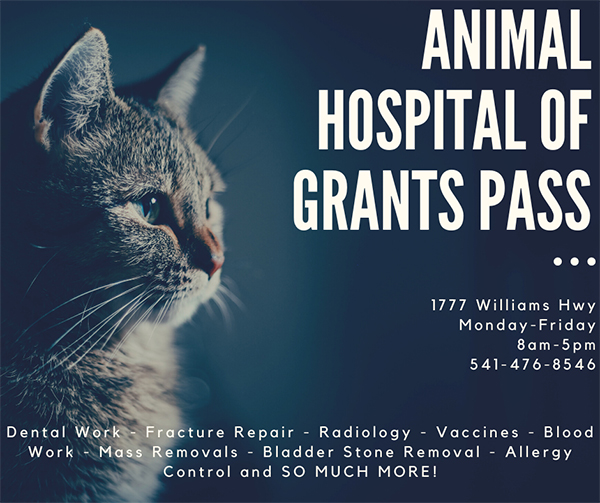 Animal hospital of grants pass