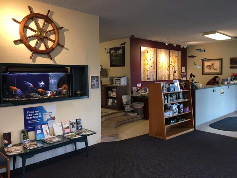 interior of the clinic