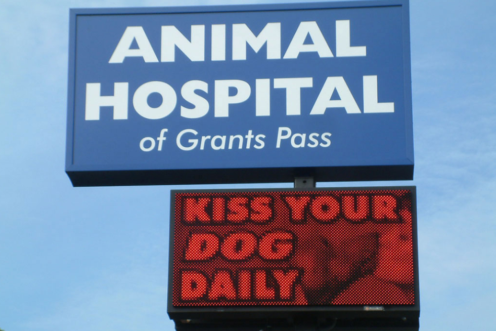 Animal hospital for grants pass