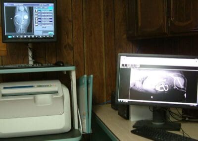 radiology