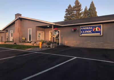 Front view of Animal Hospital of Grants Pass with view of parking lot