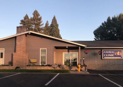 Front view of Animal Hospital of Grants Pass with trees in background
